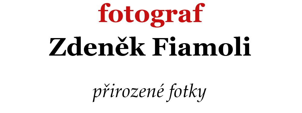 Zdeněk Fiamoli fotograf
